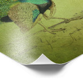 ヴィンテージピーコックアートコラージュ フォトプリント            (角)