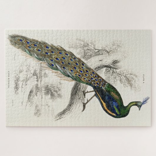 ヴィンテージピーコックアートジグソーパズル懸命1000ピース ジグソーパズル (横)