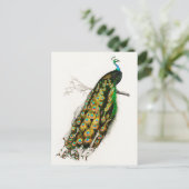 ヴィンテージピーコックイラストレーション ポストカード (スタンド正面)