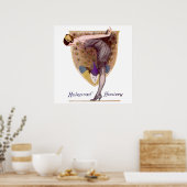 ヴィンテージピーコックウーマンフラッパーかわいらし ポスター (キッチン)