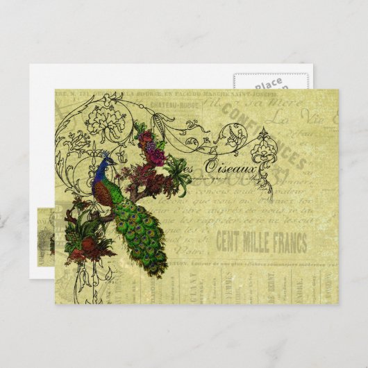 ヴィンテージピーコックオンブランチアパレルとギフト ポストカード (正面/裏面)