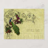 ヴィンテージピーコックオンブランチアパレルとギフト ポストカード (正面)