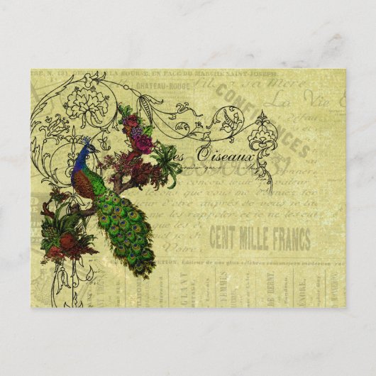 ヴィンテージピーコックオンブランチアパレルとギフト ポストカード (正面)