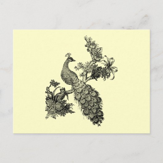 ヴィンテージピーコックオンブランチTシャツとギフト ポストカード (正面)