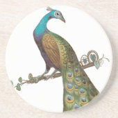 ヴィンテージピーコックコースター コースター (正面)