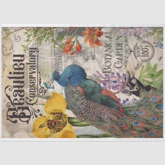 ヴィンテージピーコックティッシュペーパー 薄葉紙 (正面)