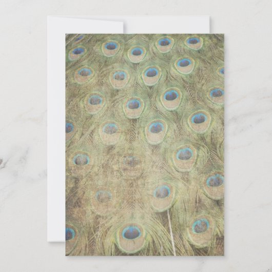 ヴィンテージピーコック結婚式招待状 招待状 (裏面)