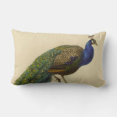 ヴィンテージピーコック腰枕 ランバークッション (裏面)