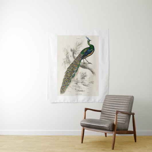 ヴィンテージピーコック自然史プリント タペストリー (インサイチュ)