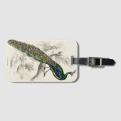 ヴィンテージピーコック自然史プリント ラゲッジタグ (正面横)
