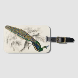 ヴィンテージピーコック自然史プリント ラゲッジタグ