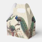 ヴィンテージピーコック鳥野生動物愛護箱 フェイバーボックス (正面サイド)