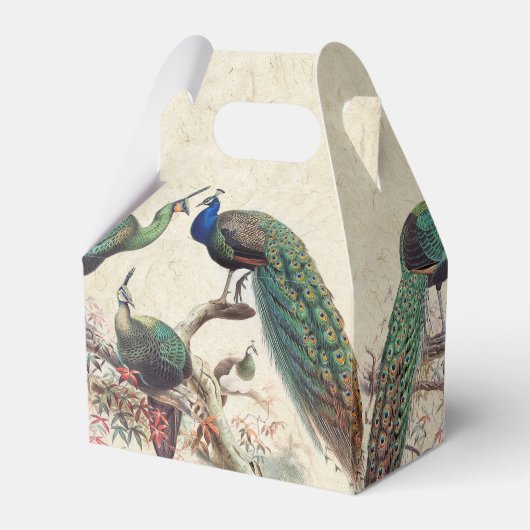 ヴィンテージピーコック鳥野生動物愛護箱 フェイバーボックス (正面サイド)