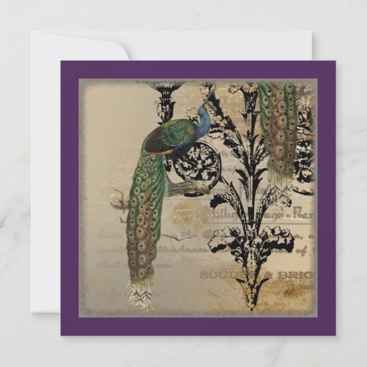 ヴィンテージピーコック6 -結婚式招待状 招待状 (裏面)