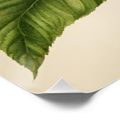 ヴィンテージピーチフルーツブランチと花 ポスター (コーナー)