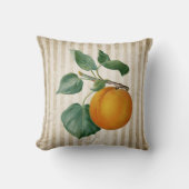 ヴィンテージピーチ植物学 クッション (正面)
