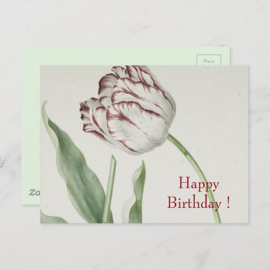 ヴィンテージファインアート、白と赤のチューリップ誕生日 ポストカード (正面/裏面)
