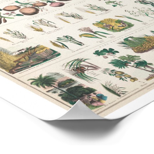 ヴィンテージファミリーアートプリントポスター ポスター (角)