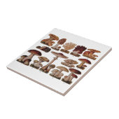 ヴィンテージファミリ植物プリント タイル (側面)