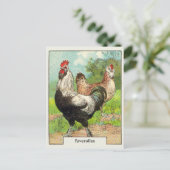ヴィンテージファヴェロレズチキン ポストカード (スタンド正面)