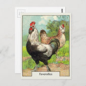 ヴィンテージファヴェロレズチキン ポストカード (正面/裏面)