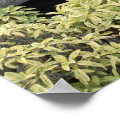 ヴィンテージファームホイール ポスター (角)