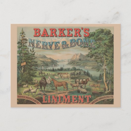 ヴィンテージファーム動物タイポグラフィエフェメラルアド ポストカード (正面)