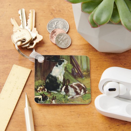 ヴィンテージファーム動物，ペット遊ウサギのHutch キーホルダー (デスク)