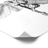 ヴィンテージフィグタニカルイラストレーションポスター ポスター (角)