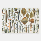 ヴィンテージフィッシュオブザワールドポスター ラッピングペーパーシート (正面3)