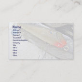 ヴィンテージフィッシュマスタージェリーシルベスターフラプテールルアー 名刺 (正面)