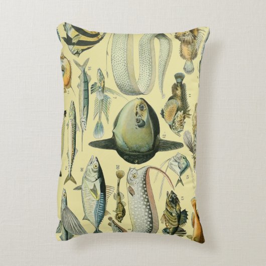 ヴィンテージフィッシュ科学魚釣りアート アクセントクッション (裏面(縦))