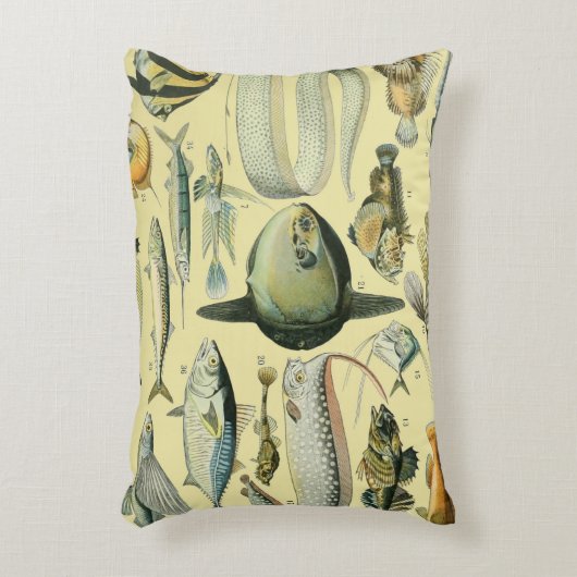 ヴィンテージフィッシュ科学魚釣りアート アクセントクッション (正面(垂直))