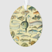 ヴィンテージフィッシュ科学魚釣りアート オーナメント (正面)