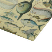 ヴィンテージフィッシュ科学魚釣りアート カッティングボード (角)