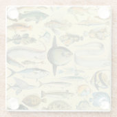 ヴィンテージフィッシュ科学魚釣りアート ガラスコースター (裏面)