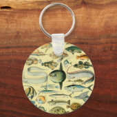 ヴィンテージフィッシュ科学魚釣りアート キーホルダー (正面)