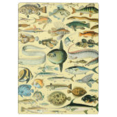 ヴィンテージフィッシュ科学魚釣りアート クリップボード (裏面)