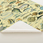 ヴィンテージフィッシュ科学魚釣りアート シェルパブランケット (3/4)