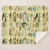 ヴィンテージフィッシュ科学魚釣りアート シェルパブランケット (正面(横))