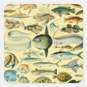 ヴィンテージフィッシュ科学魚釣りアート スクエアシール (正面)