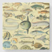 ヴィンテージフィッシュ科学魚釣りアート ストーンコースター (正面)