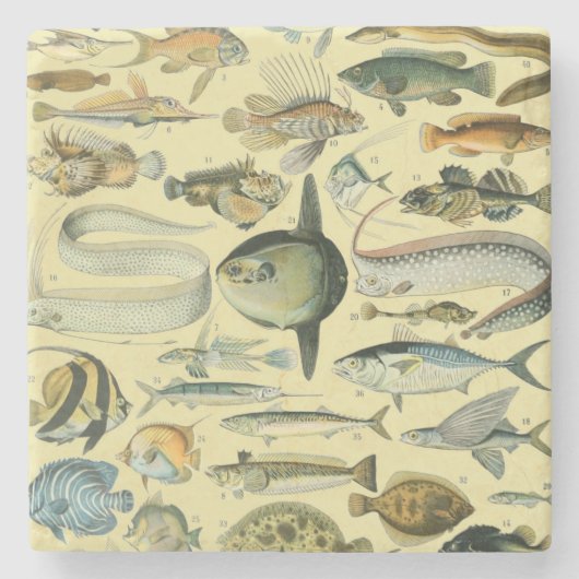 ヴィンテージフィッシュ科学魚釣りアート ストーンコースター (正面)