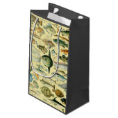 ヴィンテージフィッシュ科学魚釣りアート スモールペーパーバッグ (裏面アングル)