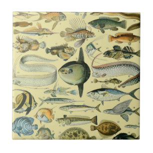 ヴィンテージフィッシュ科学魚釣りアート タイル