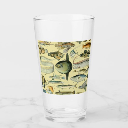 ヴィンテージフィッシュ科学魚釣りアート タンブラーグラス (正面)