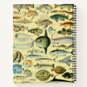 ヴィンテージフィッシュ科学魚釣りアート ノートブック (裏面)