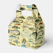 ヴィンテージフィッシュ科学魚釣りアート フェイバーボックス (裏面サイド)