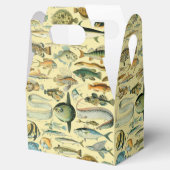 ヴィンテージフィッシュ科学魚釣りアート フェイバーボックス (オープン)