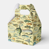 ヴィンテージフィッシュ科学魚釣りアート フェイバーボックス (正面サイド)